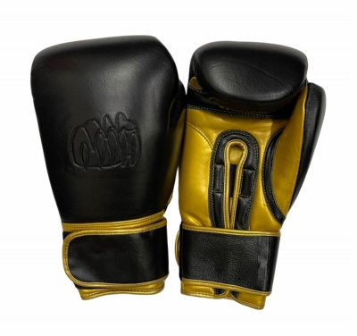Extreme Fight Gear 