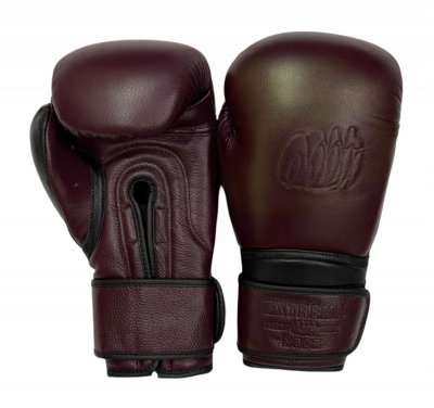 Extreme Fight Gear 